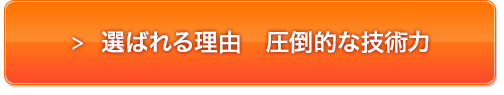 �I�΂�闝�R�@���|�I�ȋZ�p��