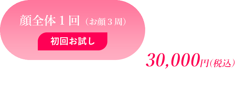 顔全体１回 初回お試し 30,000円(税込)